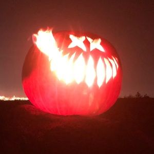 Meet your Posher, Trevor